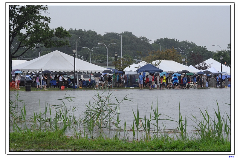 ŦԼ������۽ڣ�2011�� 572-1.jpg