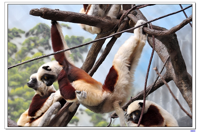 ����԰ 056-1.jpg