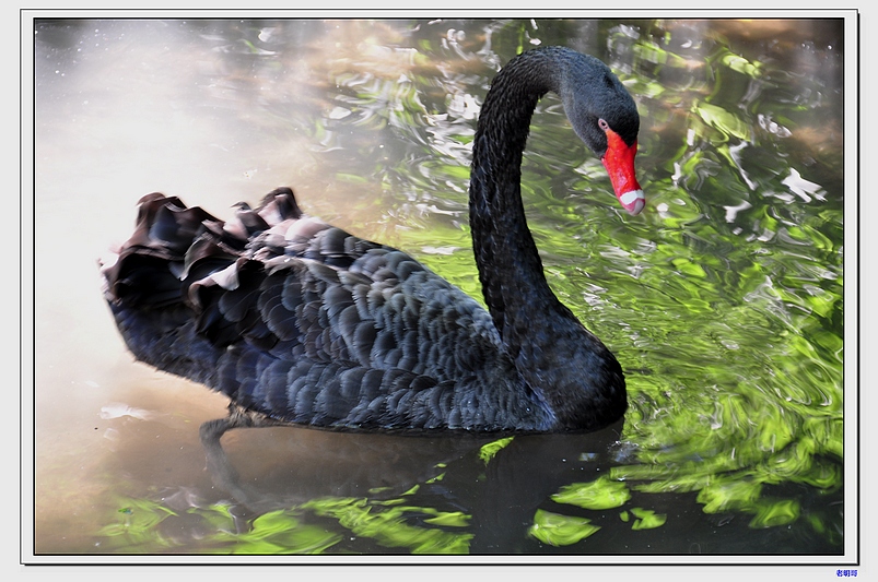 ����԰ 028-1.jpg