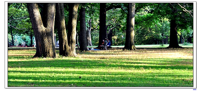 �������� 130-1.jpg