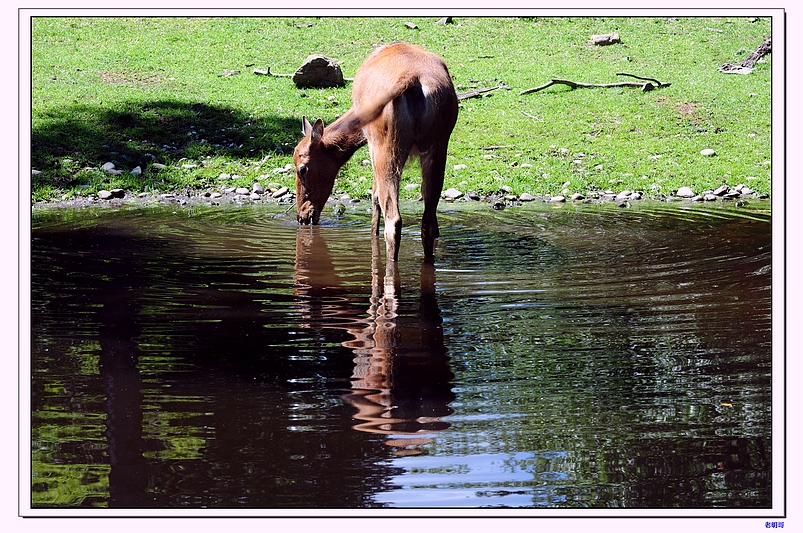 ����԰ 101-1.jpg