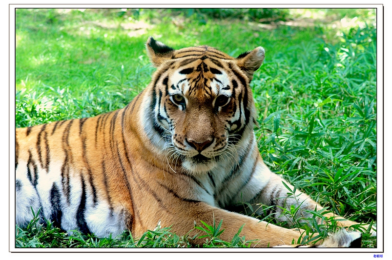 ����԰ 086-a.jpg