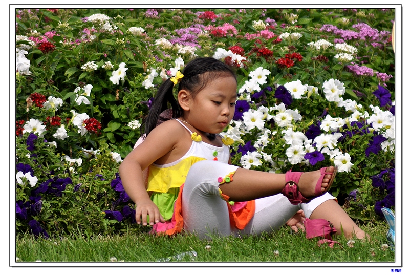 ŦԼ������۽ڣ�2011�� 475-1.jpg