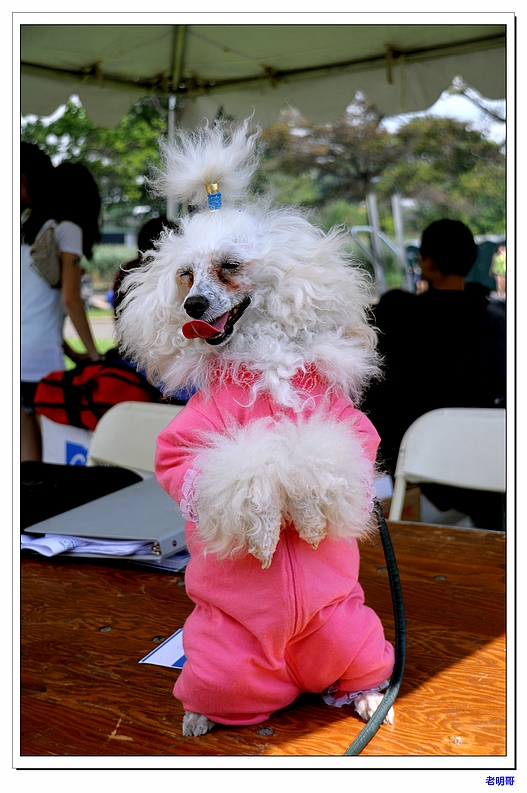 ŦԼ������۽ڣ�2011�� 091-1.jpg