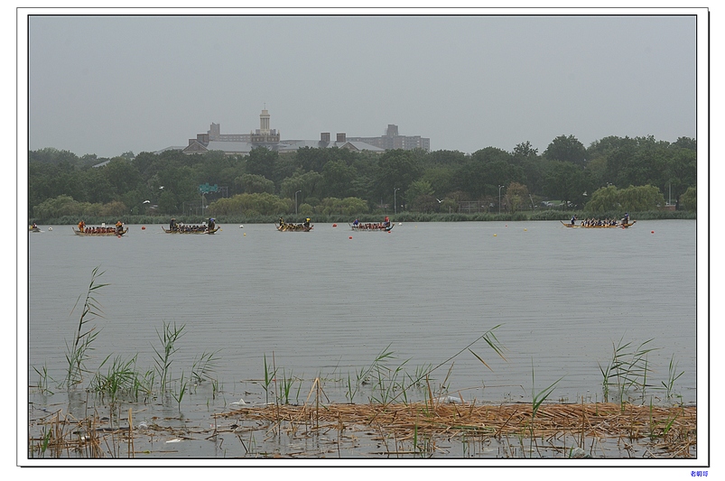 ŦԼ������۽ڣ�2011�� 536-1.jpg