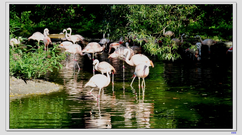 ����԰ 223-1.jpg