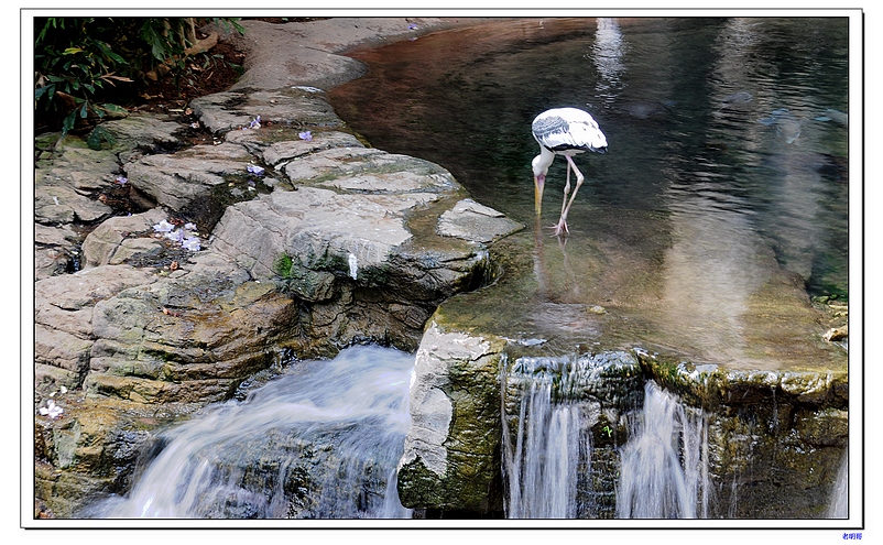 ����԰ 159-1.jpg