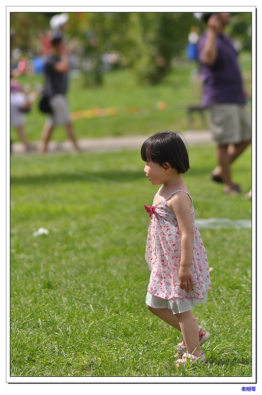 ŦԼ������۽ڣ�2011�� 278-1.jpg