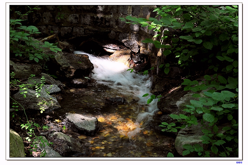 ����԰ 021-1.jpg