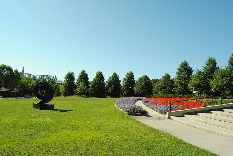 DSC_6104.JPG