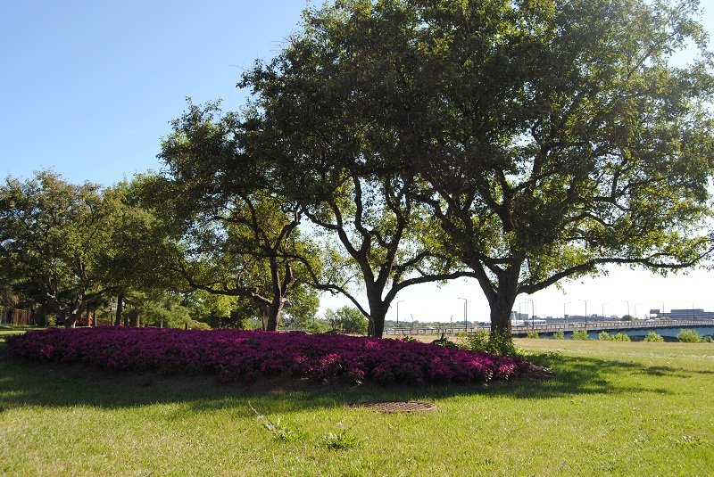 DSC_6125.JPG