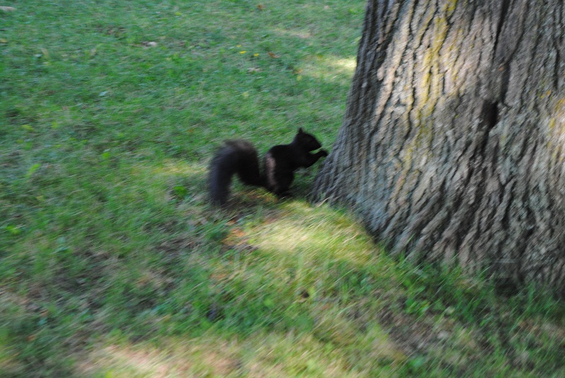 DSC_6118.JPG