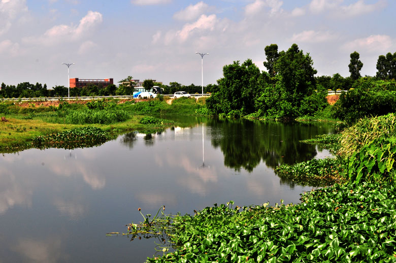 DSC_3466.jpg