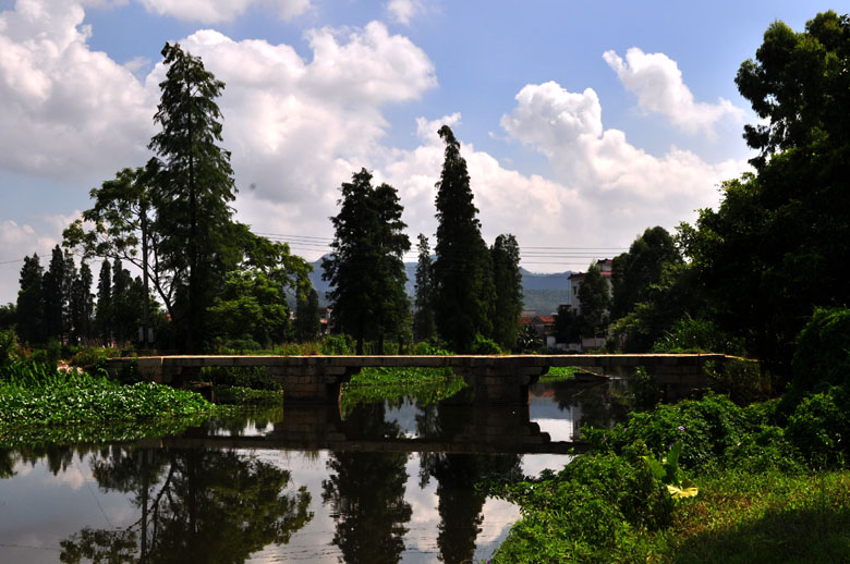 DSC_3482.jpg