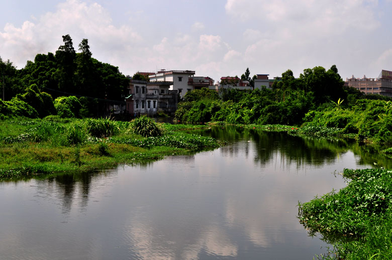 DSC_3490.jpg