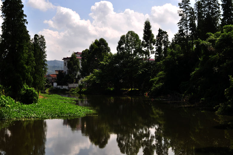 DSC_3475.jpg