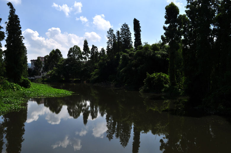 DSC_3473.jpg