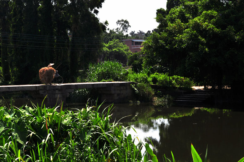 DSC_3464.jpg