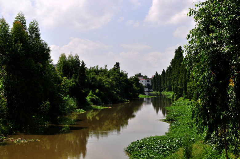 DSC_3493.jpg