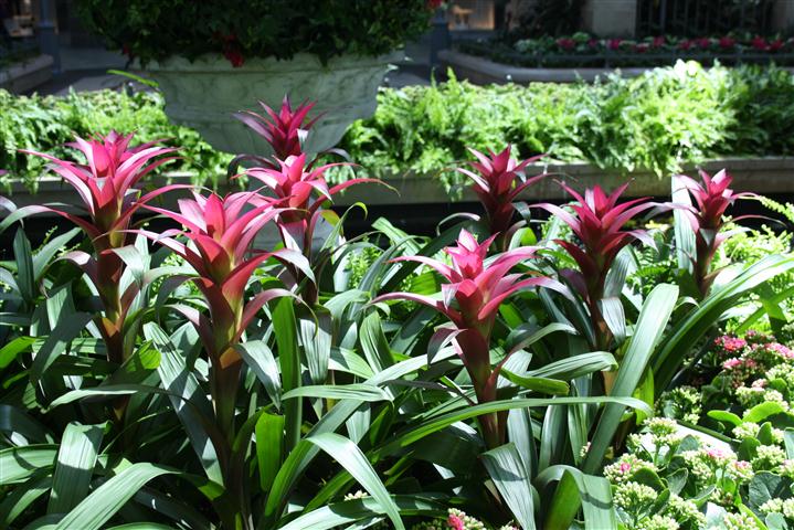 Picture 190 (Small).jpg