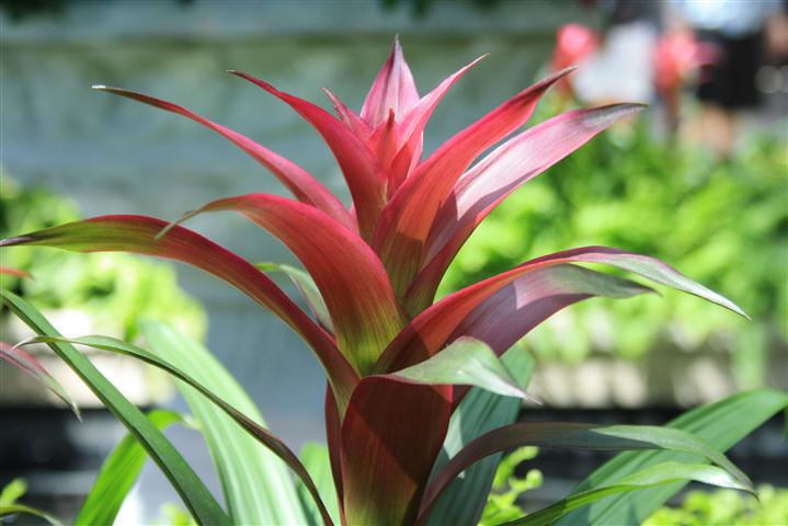 Picture 194 (Small).jpg