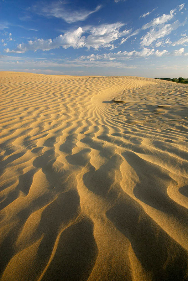 1243552231_Athabasca-sand-dunes-SK.jpg