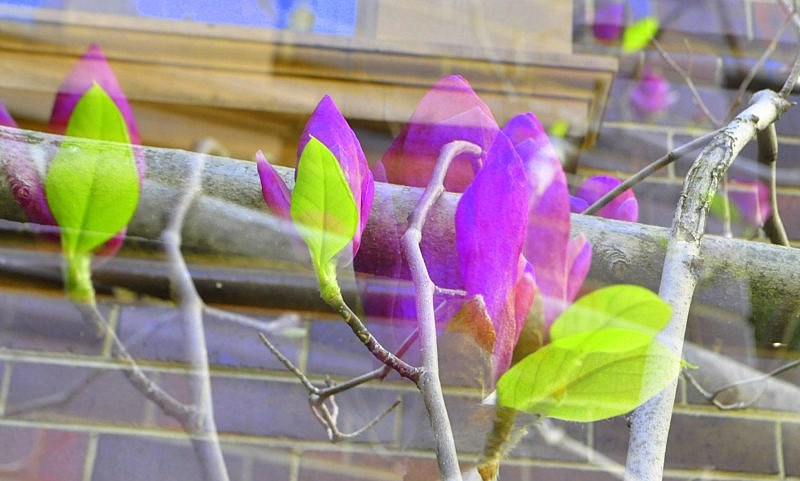 _DSC0090 [800x600].jpg