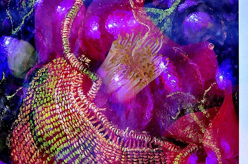 _DSC0844 [800x600].jpg