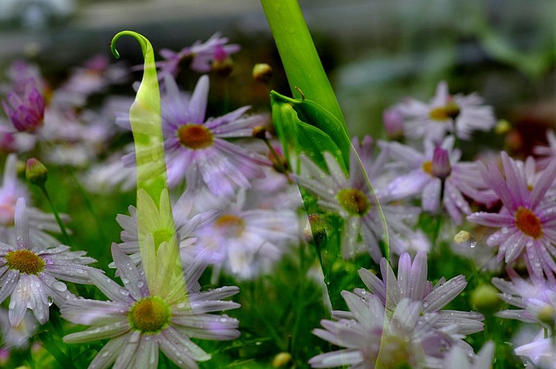 _DSC0392 [800x600].jpg