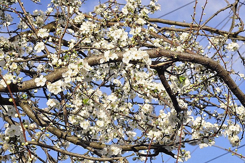 _DSC0313 [800x600] (2).jpg