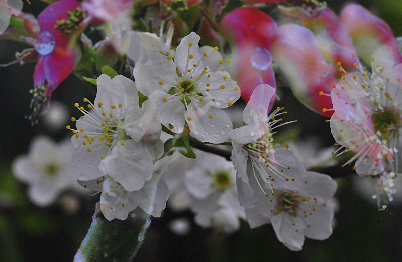 _DSC0089 [800x600].jpg