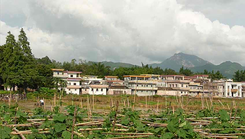 P1050339.JPG
