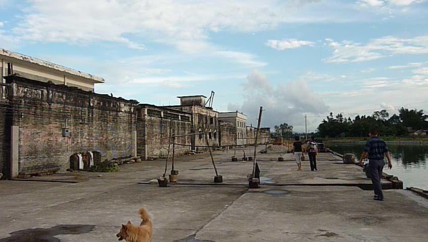 P1050359.JPG
