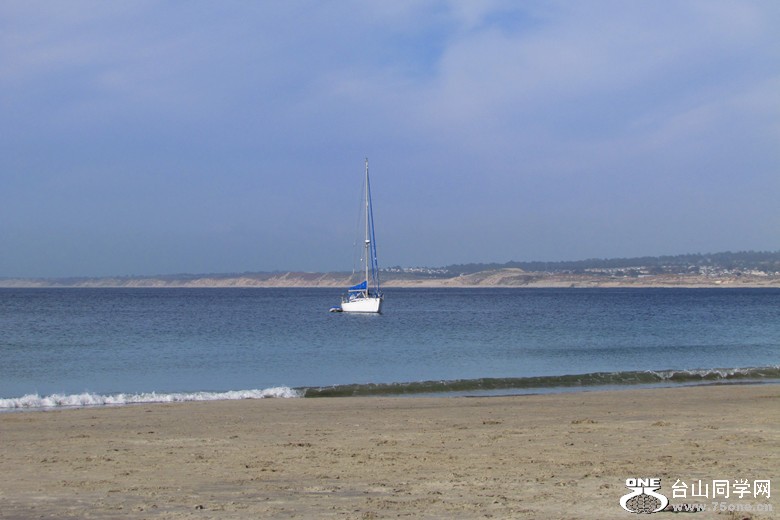 IMG_6311_1.jpg