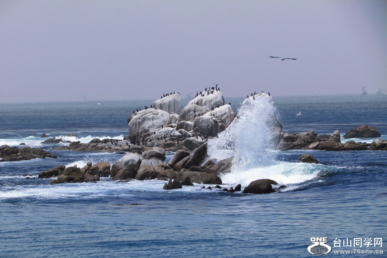 IMG_6524_1.jpg