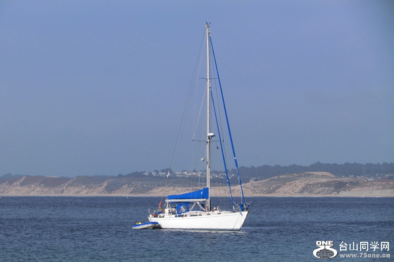 IMG_6315_1.jpg
