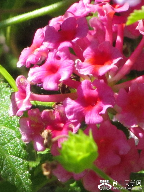 IMG_8989_2.jpg