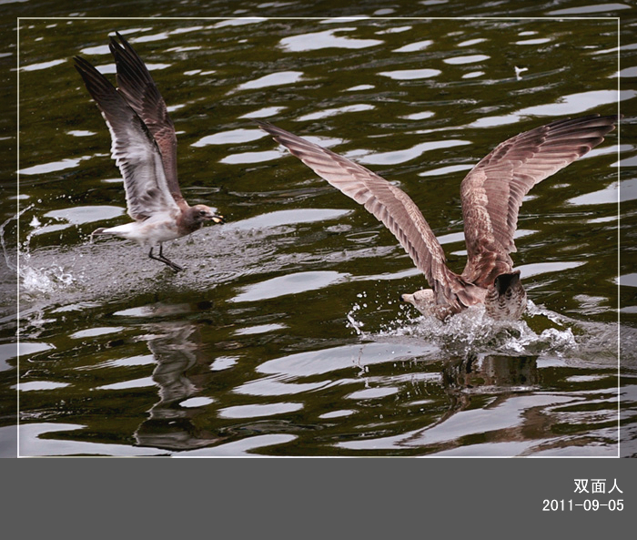 DSC_6561.JPG