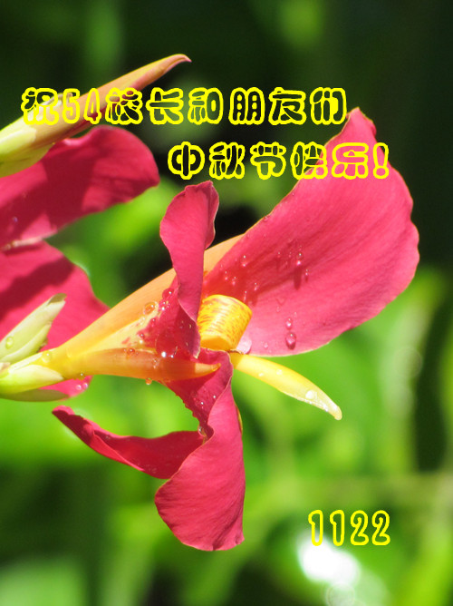 IMG_7806_18.jpg