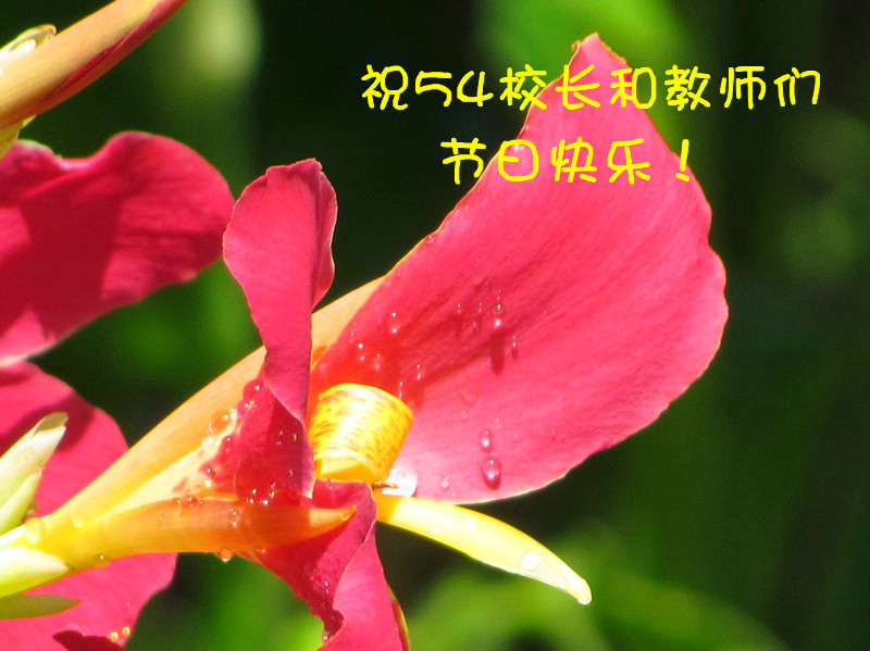 IMG_7807_12.jpg