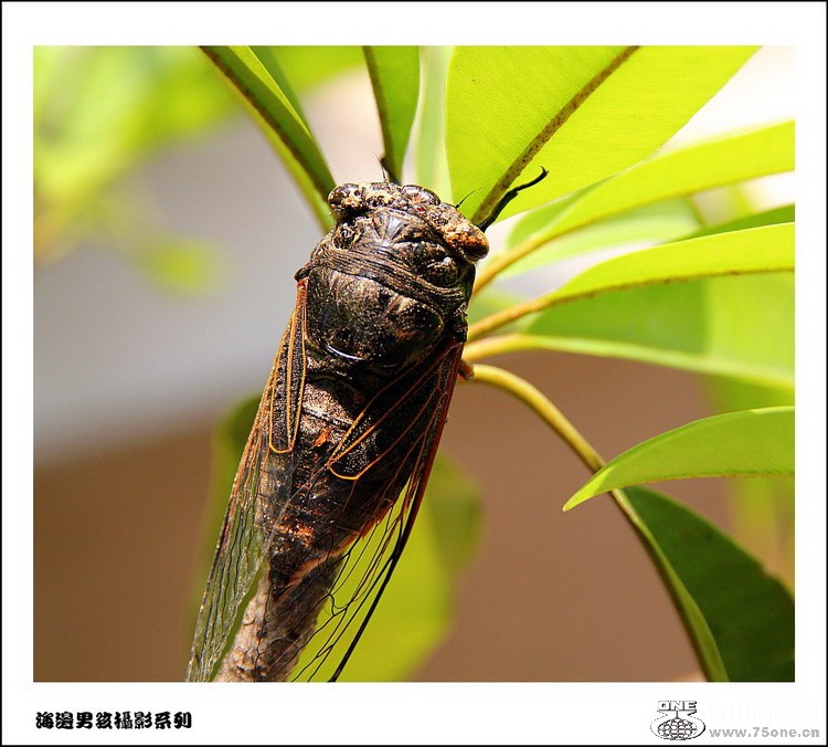 IMG_4446_conew1.jpg