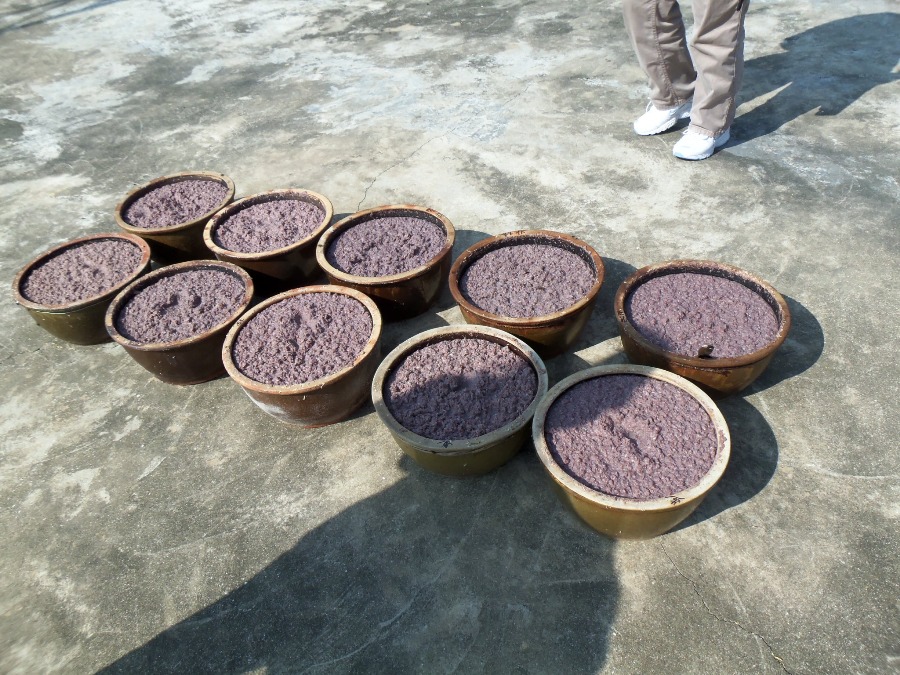 100_0702.JPG 100_0702.JPG