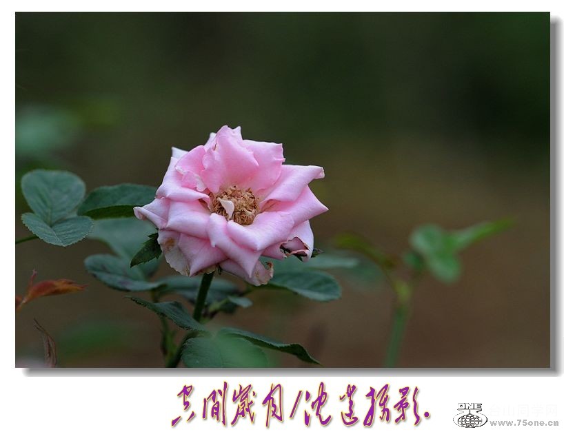 DSC_6634_conew1.jpg