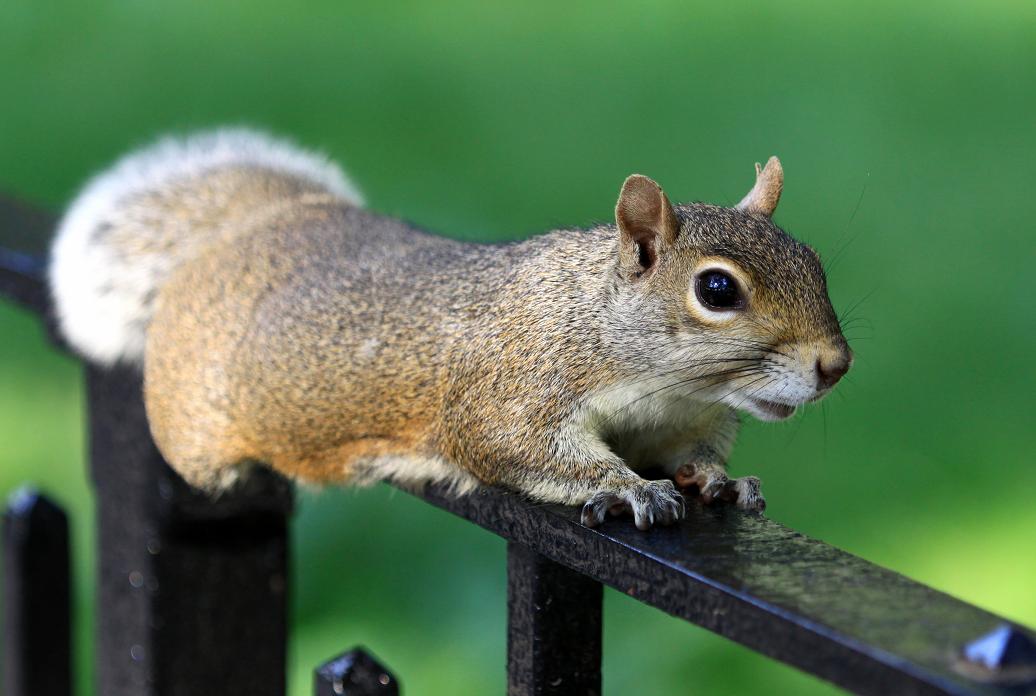 �}�u -9-12�S�� 364c.jpg