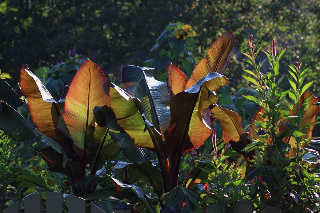 �}�u -9-12�S�� 025c.jpg