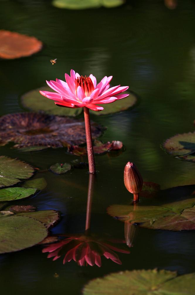 �}�u -9-12�S�� 060c.jpg