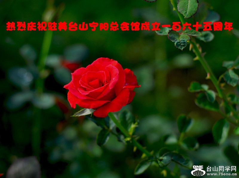 DSC_0235__.jpg