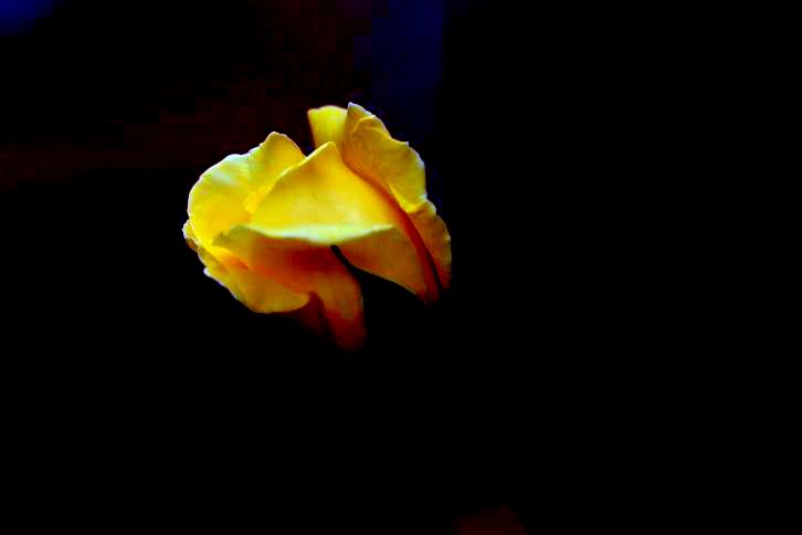 ������С IMG_7694.JPG