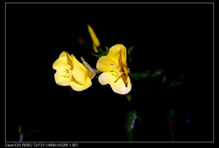 ������С IMG_7624.JPG