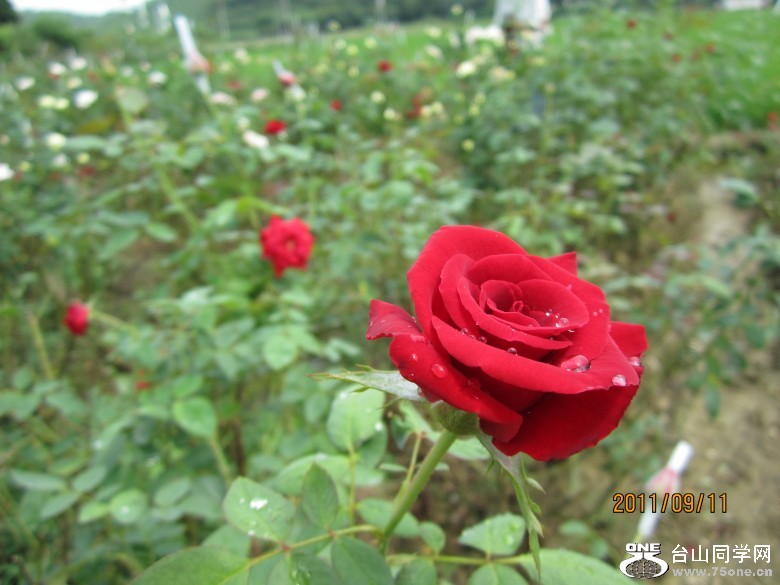 õ�� 179_conew1.jpg